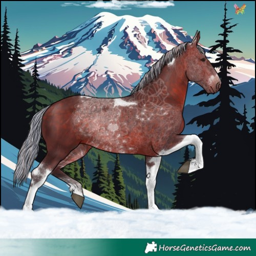 Horse Color:Painted Silver Brown Tobiano 