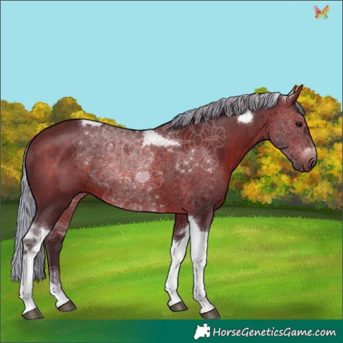 Horse Color:Painted Silver Brown Tobiano 