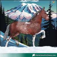 Horse Color:Painted Silver Brown Tobiano 