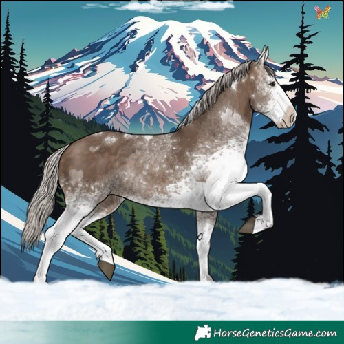 Horse Color:White Spotted Silver Brown Dun