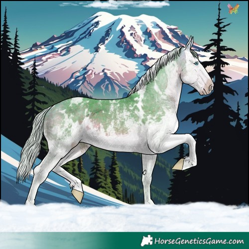 Horse Color:Watercolor White Spotted Silver Buckskin Sabino Splash 