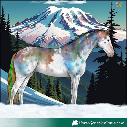 Horse Color:Painted Nacre White Spotted Bay Splash Tobiano