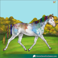 Horse Color:Painted Nacre White Spotted Bay Splash Tobiano