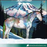 Horse Color:Painted Nacre White Spotted Bay Splash Tobiano 