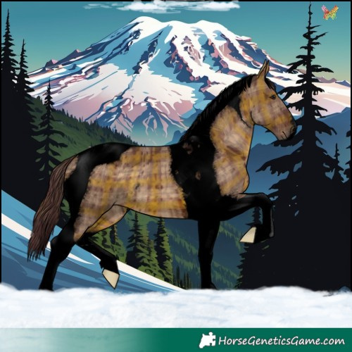 Horse Color:Void Plaid  Chocolate Brown Dun Tobiano Brindle 