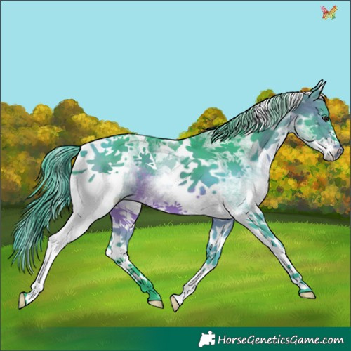 Horse Color:Watercolor White Spotted Brown Tobiano 