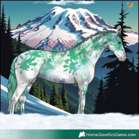 Horse Color:Watercolor White Spotted Brown Tobiano