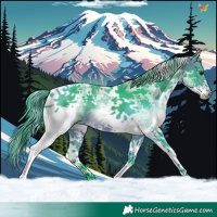 Horse Color:Watercolor White Spotted Brown Tobiano 