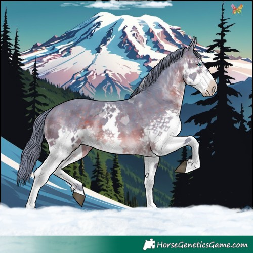 Horse Color:Watercolor Plaid  Brown Splash Tobiano 