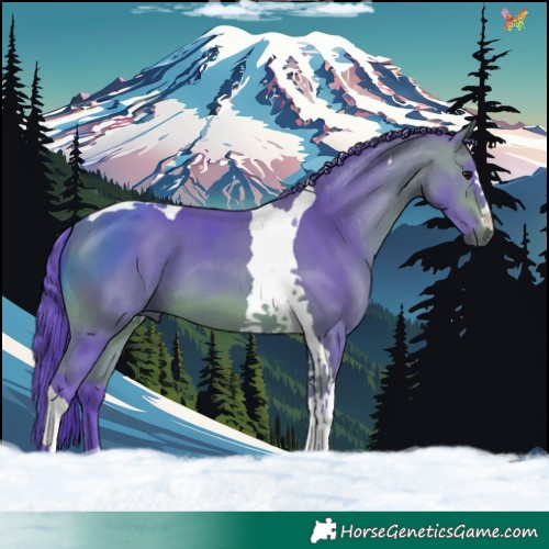 Horse Color:Watercolor Bay Tobiano 