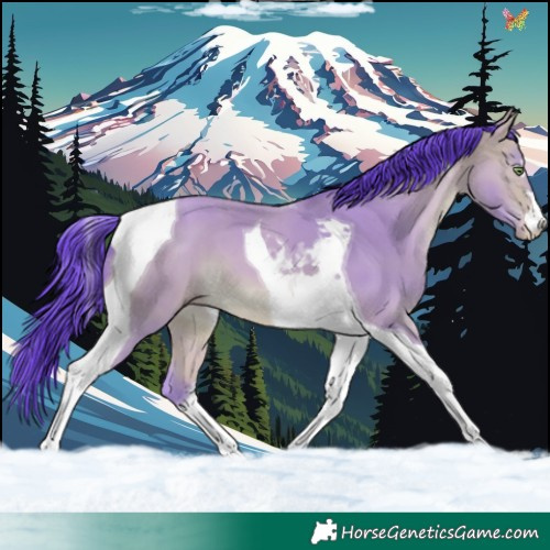 Horse Color:Platinum Watercolor Amber Champagne Tobiano 