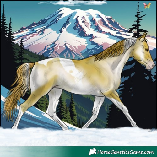 Horse Color:Watercolor Gold Champagne Onyx Tobiano 