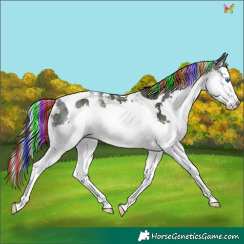Horse Color:Painted Watercolor Midnight Liver Chestnut Splash Tobiano