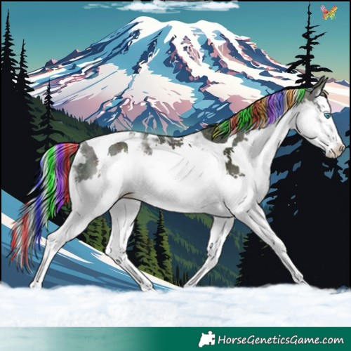 Horse Color:Painted Watercolor Midnight Liver Chestnut Splash Tobiano 