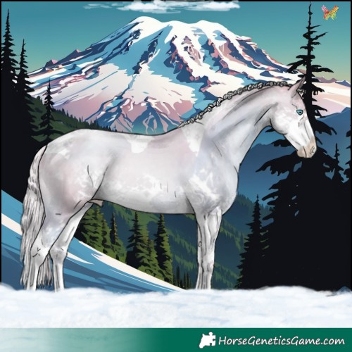 Horse Color:Platinum Watercolor Gold Cream Champagne Pearl Splash Tobiano 