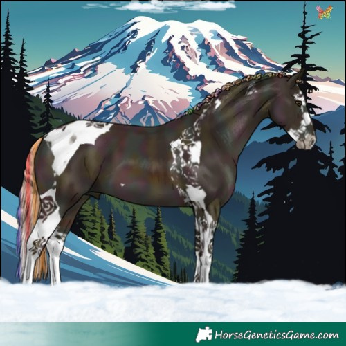 Horse Color:Painted Watercolor Midnight Chestnut Splash Tobiano 