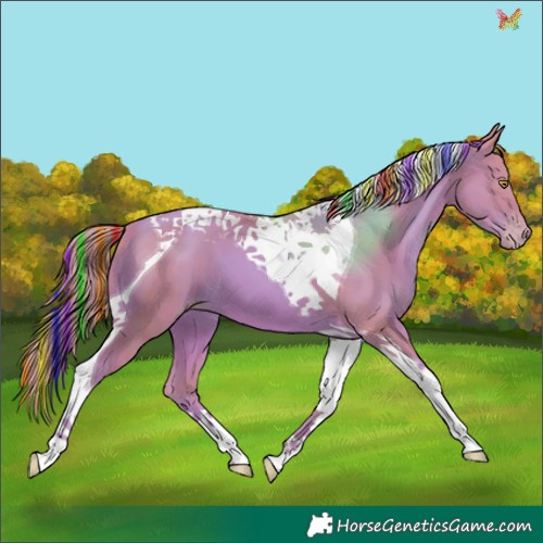 Horse Color:Painted Watercolor Gold Champagne Tobiano 