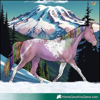 Horse Color:Painted Watercolor Gold Champagne Tobiano