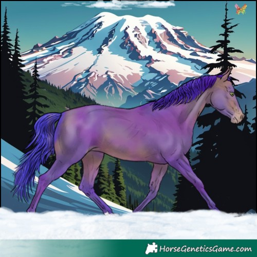 Horse Color:Watercolor Sable Champagne 