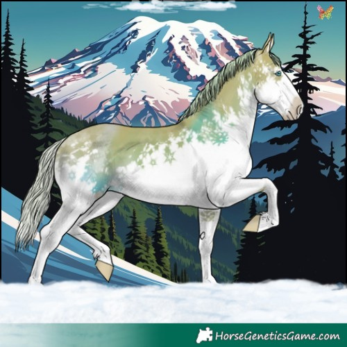 Horse Color:Watercolor Chestnut Splash 