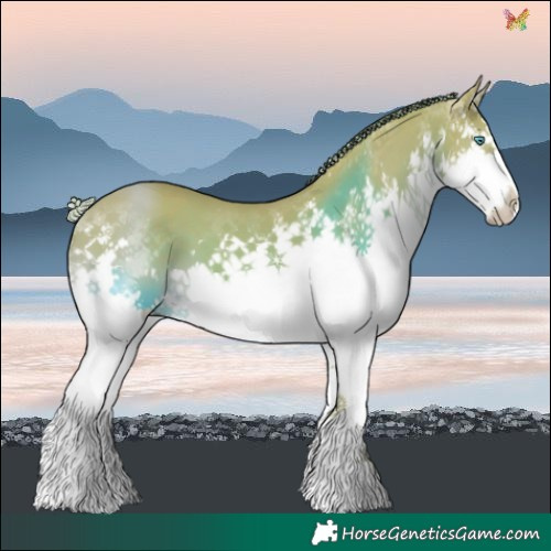 Horse Color:Watercolor Chestnut Splash 