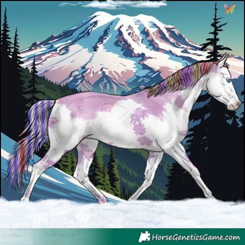 Horse Color:Painted Watercolor Gold Champagne Splash 