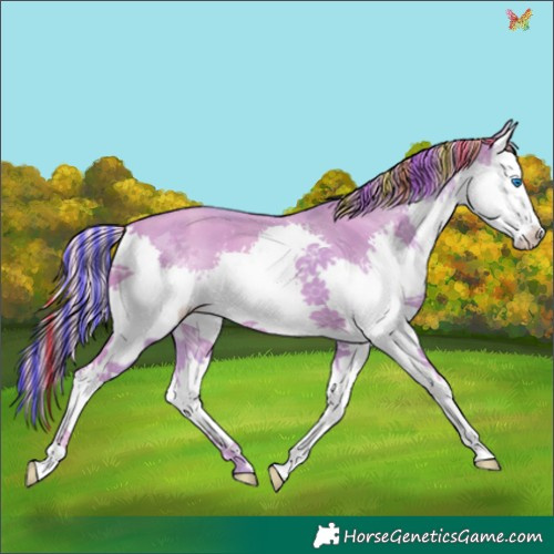 Horse Color:Painted Watercolor Gold Champagne Splash