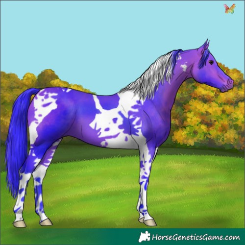 Horse Color:Watercolor Bay Tobiano