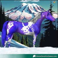 Horse Color:Watercolor Bay Tobiano