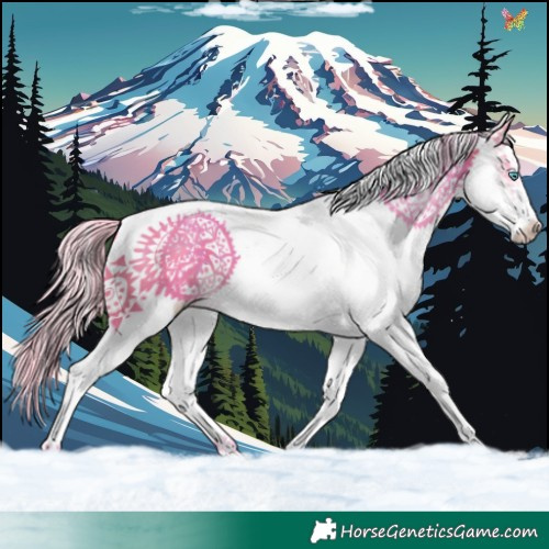 Horse Color:Watercolor White Spotted Silver Brown Splash 