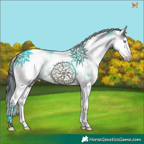 Horse Color:White Spotted Grullo Splash Tobiano 