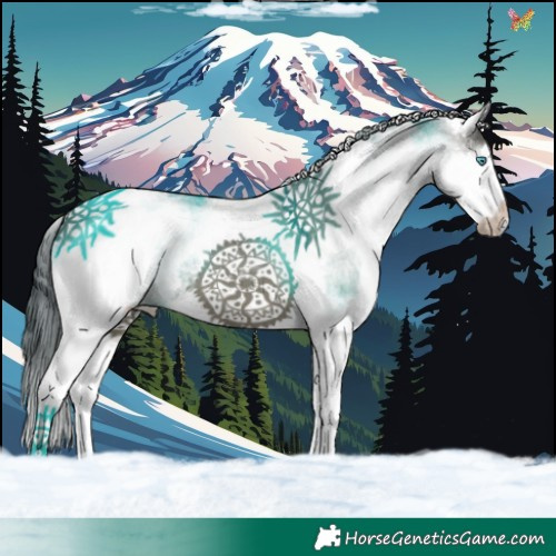 Horse Color:White Spotted Grullo Splash Tobiano 
