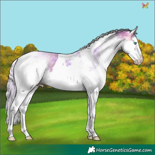 Horse Color:Watercolor White Spotted Silver Brown Splash Tobiano 