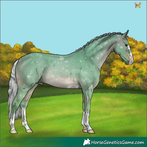 Horse Color:Watercolor Silver Bay 