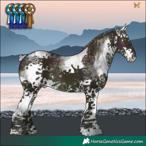 Horse Color:Watercolor White Spotted Midnight Silver Sable Champagne Dun Splash 