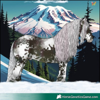 Horse Color:Watercolor White Spotted Midnight Silver Sable Champagne Dun Splash 