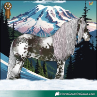 Horse Color:Watercolor White Spotted Midnight Silver Sable Champagne Dun Splash 