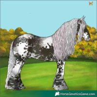 Horse Color:Watercolor White Spotted Midnight Silver Sable Champagne Dun Splash 