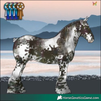 Horse Color:Watercolor White Spotted Midnight Silver Sable Champagne Dun Splash 