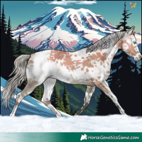 Horse Color:White Spotted Silver Brown Dun Splash Tobiano 