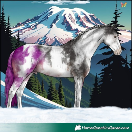 Horse Color:White Spotted Liver Chestnut Tobiano 