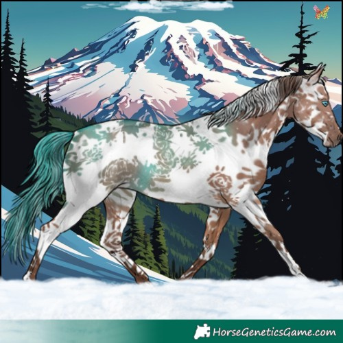 Horse Color:White Spotted Liver Red Dun Splash 