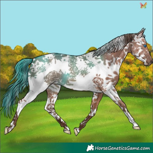 Horse Color:White Spotted Liver Red Dun Splash 