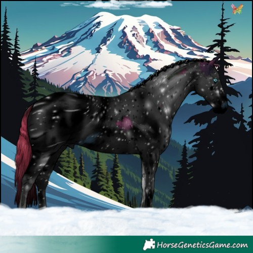 Horse Color:ERROR: UNKNOWN ANOMALY