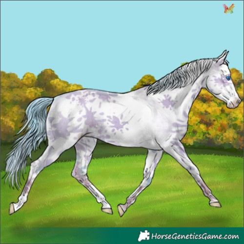 Horse Color:Watercolor White Spotted Liver Red Dun Splash 