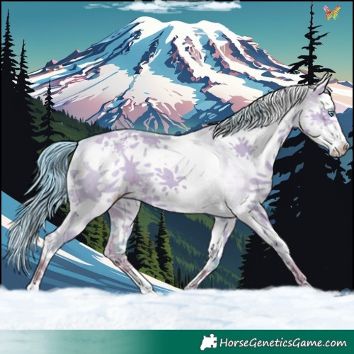 Horse Color:Watercolor White Spotted Liver Red Dun Splash 