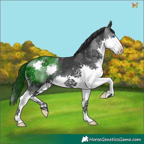Horse Color:Black Splash 