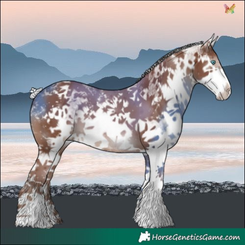 Horse Color:White Spotted Silver Black Splash 