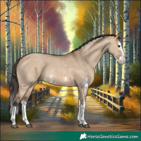Horse Color:Bay Dun Sabino Splash