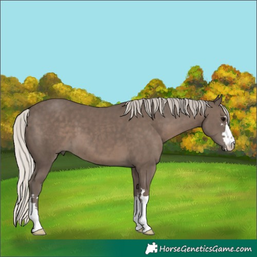 Horse Color:Silver Black 